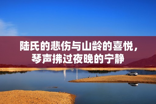 陆氏的悲伤与山龄的喜悦，琴声拂过夜晚的宁静