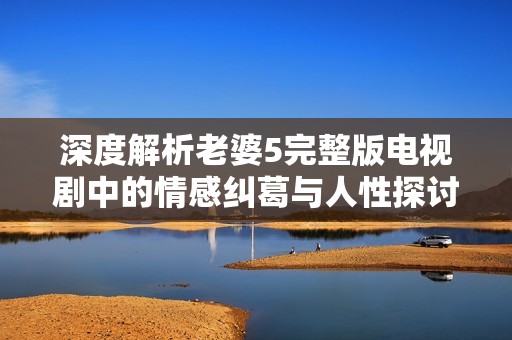 深度解析老婆5完整版电视剧中的情感纠葛与人性探讨
