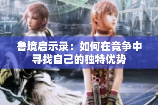 鲁境启示录：如何在竞争中寻找自己的独特优势