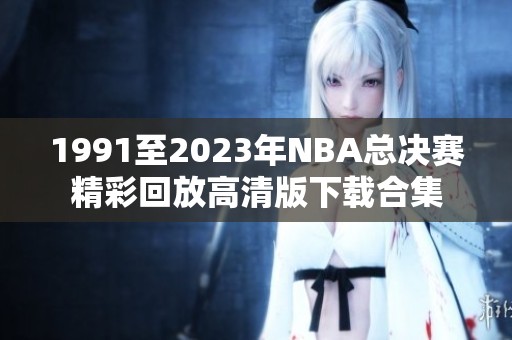 1991至2023年NBA总决赛精彩回放高清版下载合集
