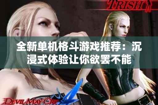 全新单机格斗游戏推荐：沉浸式体验让你欲罢不能