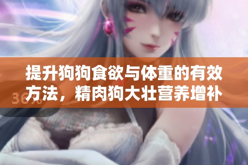 提升狗狗食欲与体重的有效方法，精肉狗大壮营养增补策略