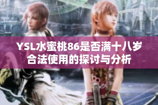 YSL水蜜桃86是否满十八岁合法使用的探讨与分析