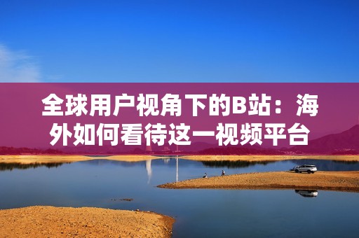 全球用户视角下的B站：海外如何看待这一视频平台