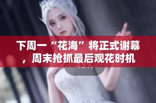 下周一“花海”将正式谢幕，周末抢抓最后观花时机
