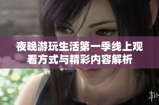 夜晚游玩生活第一季线上观看方式与精彩内容解析