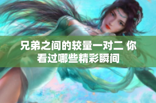兄弟之间的较量一对二 你看过哪些精彩瞬间