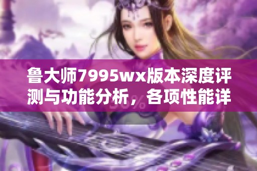 鲁大师7995wx版本深度评测与功能分析，各项性能详解