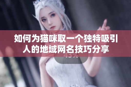 如何为猫咪取一个独特吸引人的地域网名技巧分享