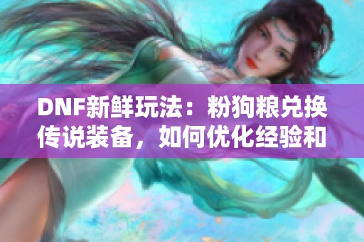 DNF新鲜玩法：粉狗粮兑换传说装备，如何优化经验和灵魂资源