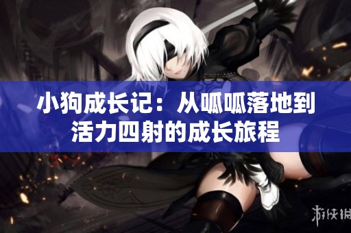 小狗成长记：从呱呱落地到活力四射的成长旅程