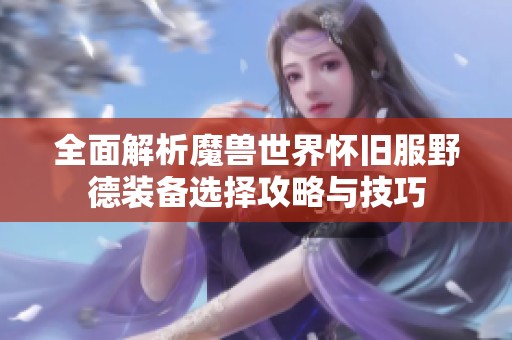 全面解析魔兽世界怀旧服野德装备选择攻略与技巧