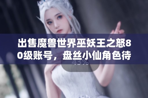 出售魔兽世界巫妖王之怒80级账号，盘丝小仙角色待售