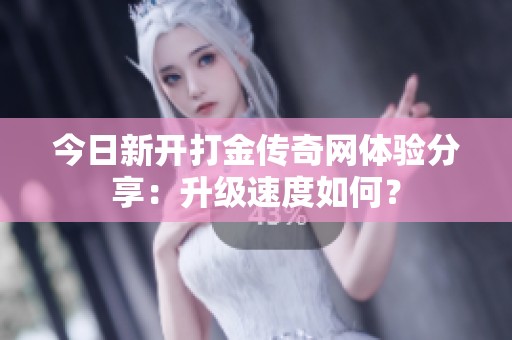今日新开打金传奇网体验分享：升级速度如何？
