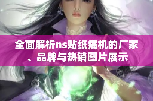 全面解析ns贴纸痛机的厂家、品牌与热销图片展示