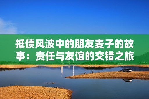 抵债风波中的朋友麦子的故事：责任与友谊的交错之旅