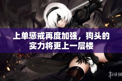 上单惩戒再度加强，狗头的实力将更上一层楼