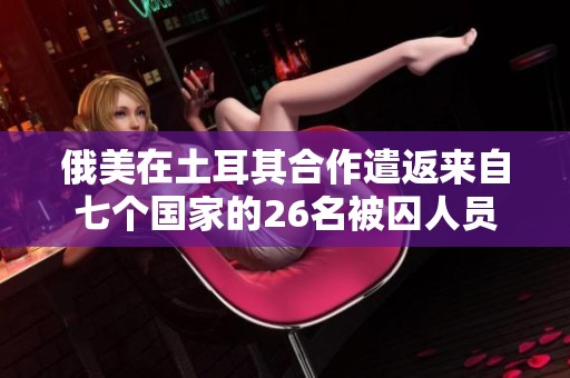 俄美在土耳其合作遣返来自七个国家的26名被囚人员