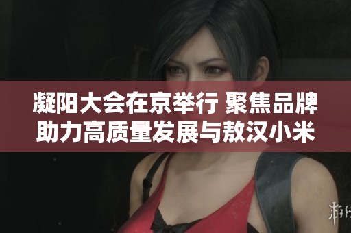 凝阳大会在京举行 聚焦品牌助力高质量发展与敖汉小米合作新机遇
