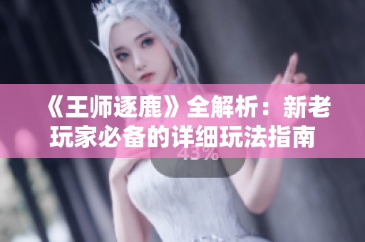 《王师逐鹿》全解析：新老玩家必备的详细玩法指南