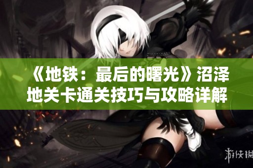 《地铁：最后的曙光》沼泽地关卡通关技巧与攻略详解