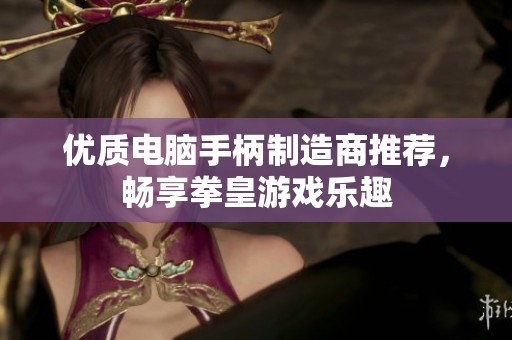 优质电脑手柄制造商推荐，畅享拳皇游戏乐趣