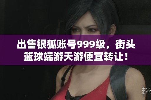 出售银狐账号999级，街头篮球端游天游便宜转让！