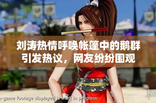 刘涛热情呼唤帐篷中的鹅群引发热议，网友纷纷围观