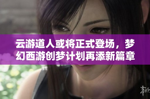 云游道人或将正式登场，梦幻西游创梦计划再添新篇章