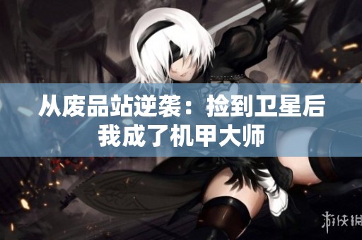 从废品站逆袭：捡到卫星后我成了机甲大师