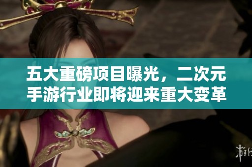 五大重磅项目曝光，二次元手游行业即将迎来重大变革