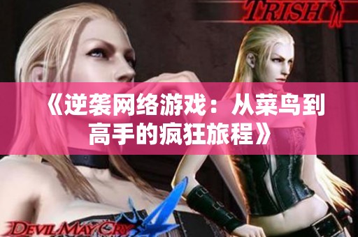 《逆袭网络游戏：从菜鸟到高手的疯狂旅程》
