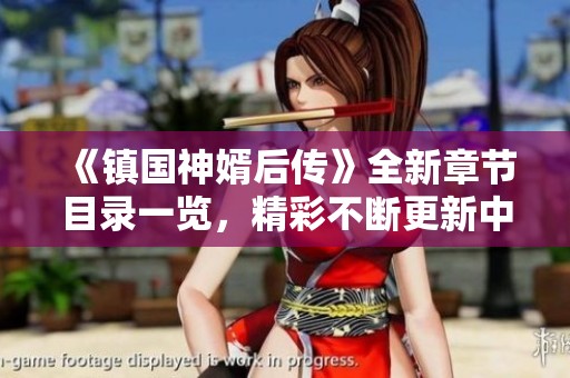 《镇国神婿后传》全新章节目录一览，精彩不断更新中