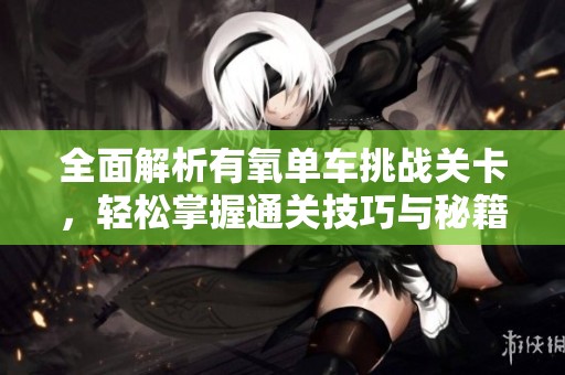 全面解析有氧单车挑战关卡，轻松掌握通关技巧与秘籍