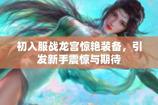 初入服战龙宫惊艳装备，引发新手震惊与期待