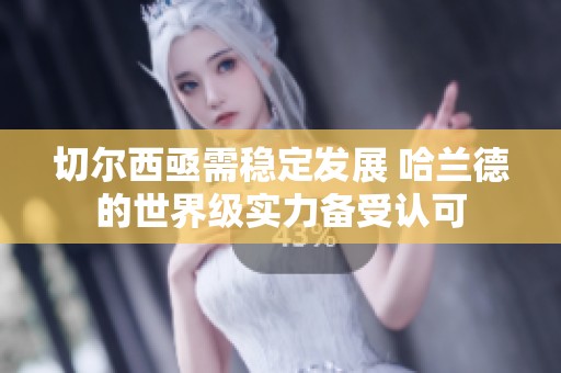 切尔西亟需稳定发展 哈兰德的世界级实力备受认可