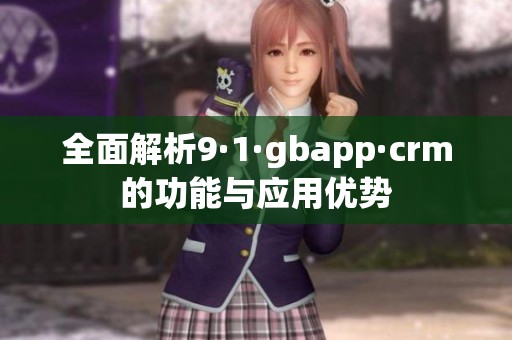 全面解析9·1·gbapp·crm的功能与应用优势