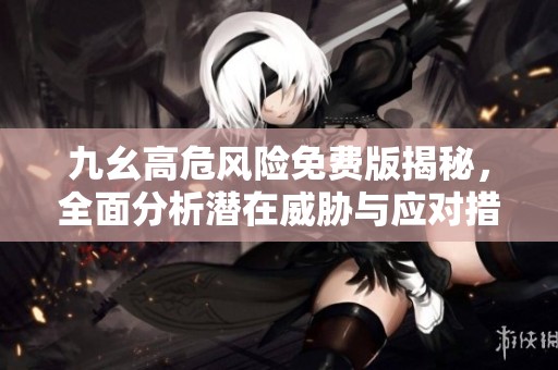 九幺高危风险免费版揭秘，全面分析潜在威胁与应对措施