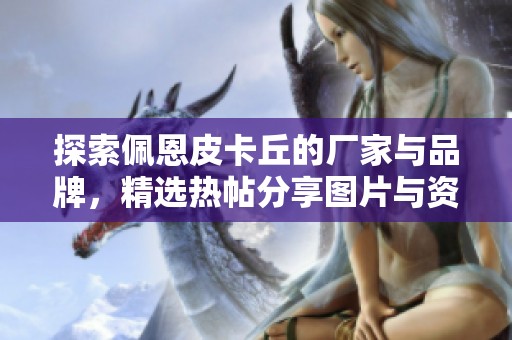 探索佩恩皮卡丘的厂家与品牌，精选热帖分享图片与资讯