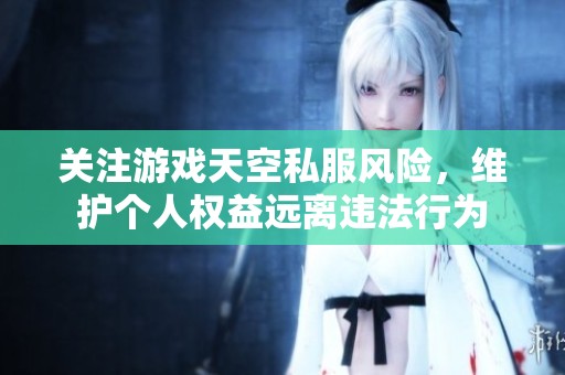 关注游戏天空私服风险，维护个人权益远离违法行为