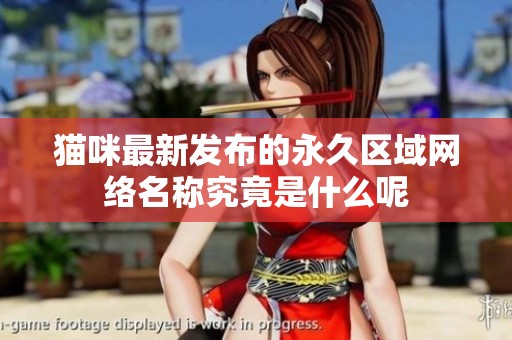 猫咪最新发布的永久区域网络名称究竟是什么呢