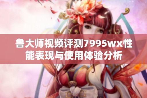 鲁大师视频评测7995wx性能表现与使用体验分析