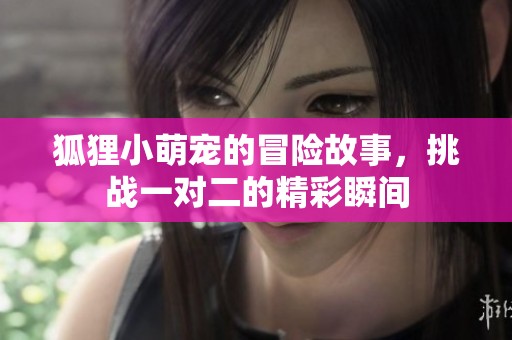 狐狸小萌宠的冒险故事，挑战一对二的精彩瞬间