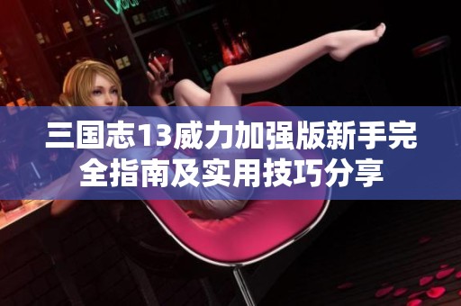 三国志13威力加强版新手完全指南及实用技巧分享