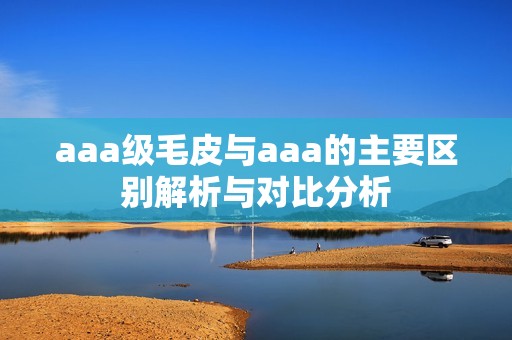 aaa级毛皮与aaa的主要区别解析与对比分析