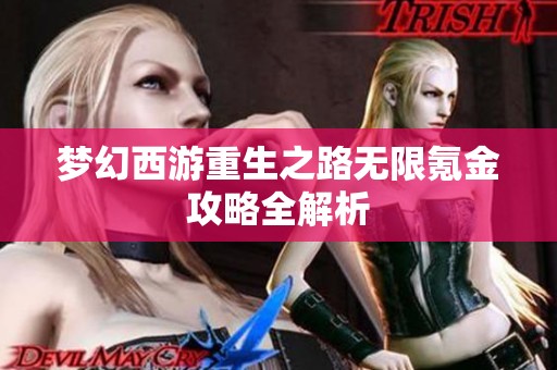 梦幻西游重生之路无限氪金攻略全解析