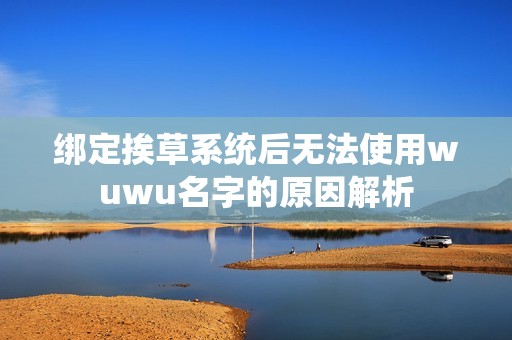 绑定挨草系统后无法使用wuwu名字的原因解析