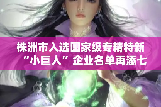 株洲市入选国家级专精特新“小巨人”企业名单再添七家