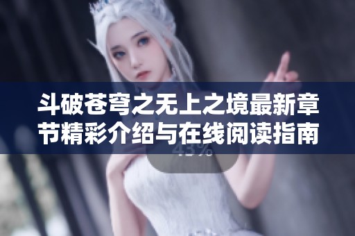 斗破苍穹之无上之境最新章节精彩介绍与在线阅读指南