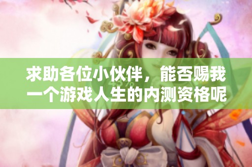 求助各位小伙伴，能否赐我一个游戏人生的内测资格呢